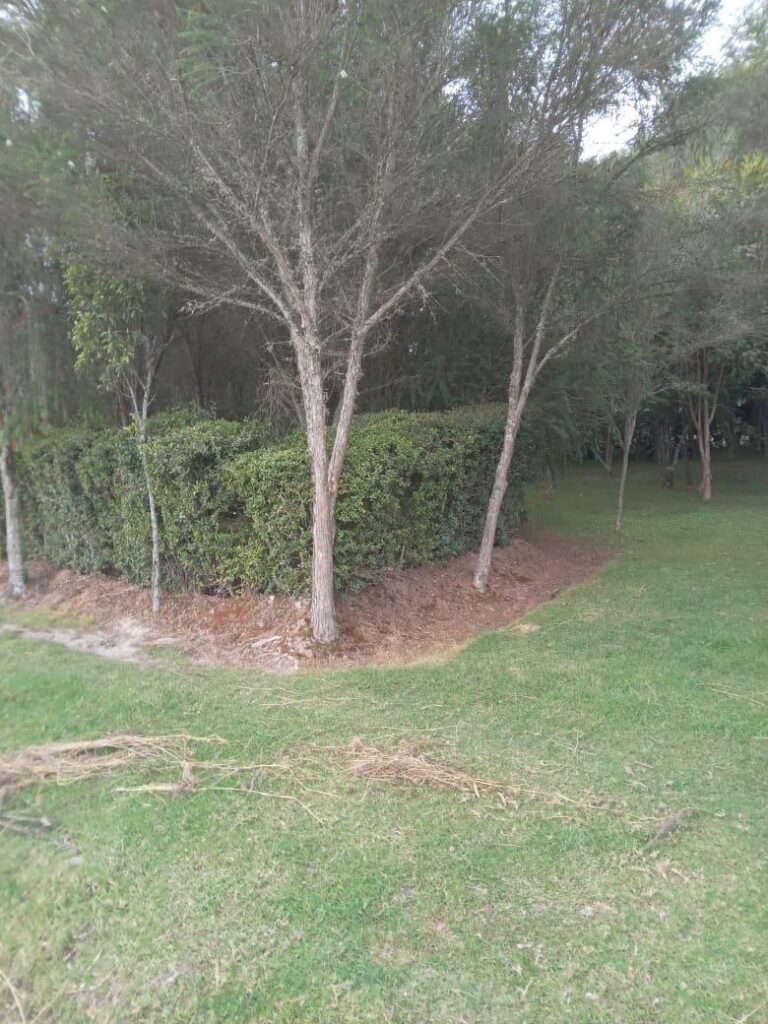 WhatsApp-Image-2026-09-23-at-13.59.34