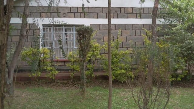 WhatsApp-Image-2026-09-23-at-13.59.36