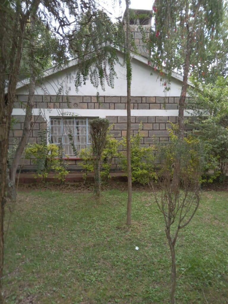WhatsApp-Image-2026-09-23-at-13.59.36